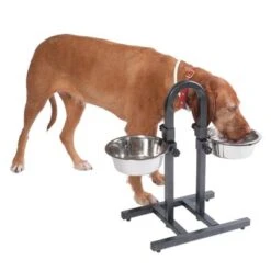 Soporte Ajustable Con Dos Comederos De 1,6 L -Bravery Tienda 313525 u hundebar 06 dsc9199 3