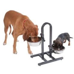 Soporte Ajustable Con Dos Comederos De 1,6 L -Bravery Tienda 313525 u hundebar 07 dsc9203 5