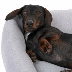 Cama Modern Living Sydney Para Perros -Bravery Tienda 317997 modern living sydney fg 2771 3