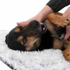 Manta TIAKI Cloud Para Mascotas -Bravery Tienda 318000 tiaki hundedecke decke cloud hs 23 7