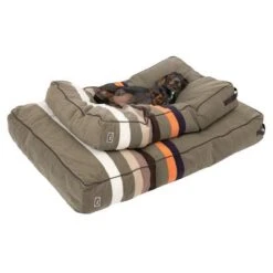 Cojín TIAKI Forrest Para Mascotas -Bravery Tienda 319001 319002 forrest fg 2331 3