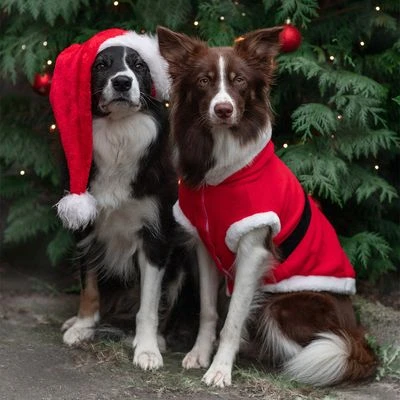Abrigo navideño Papá Noel para perros Trixie Abrigo Navideño Papá Noel Para Perros -Bravery Tienda
