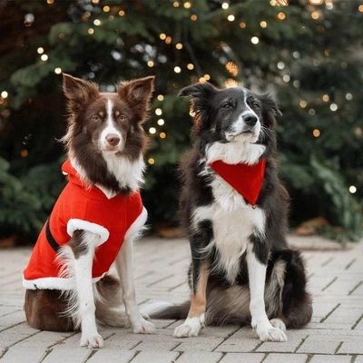Abrigo navideño Papá Noel para perros Trixie Abrigo Navideño Papá Noel Para Perros -Bravery Tienda