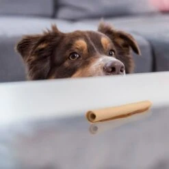 SmartBones Palitos Enrollados Con Pollo Para Perros -Bravery Tienda 324401 smartsticks wrapped kausticks huhn stck hs 04 8