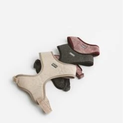 Arnés Nomad Tales Calma Burdeos Para Perros -Bravery Tienda 325796 nomad tales calma ebony 05 5