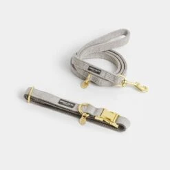 Collar Nomad Tales Calma Piedra Para Perros -Bravery Tienda 326806 326197 nomad tales calma halsband stone 01 7