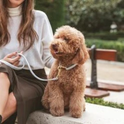 Collar Nomad Tales Calma Piedra Para Perros -Bravery Tienda 326806 326197 nomad tales calma halsband stone 03 5