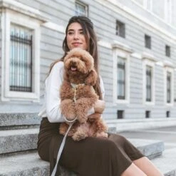 Collar Nomad Tales Calma Piedra Para Perros -Bravery Tienda 326806 326197 nomad tales calma halsband stone 05 0