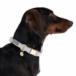 Collar Nomad Tales Calma Piedra Para Perros -Bravery Tienda 326807 calma m fg 7324 6