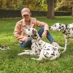 Collar Nomad Tales Spirit Piedra Para Perros -Bravery Tienda 329197 nomad tales spirit halsband stone 04 4