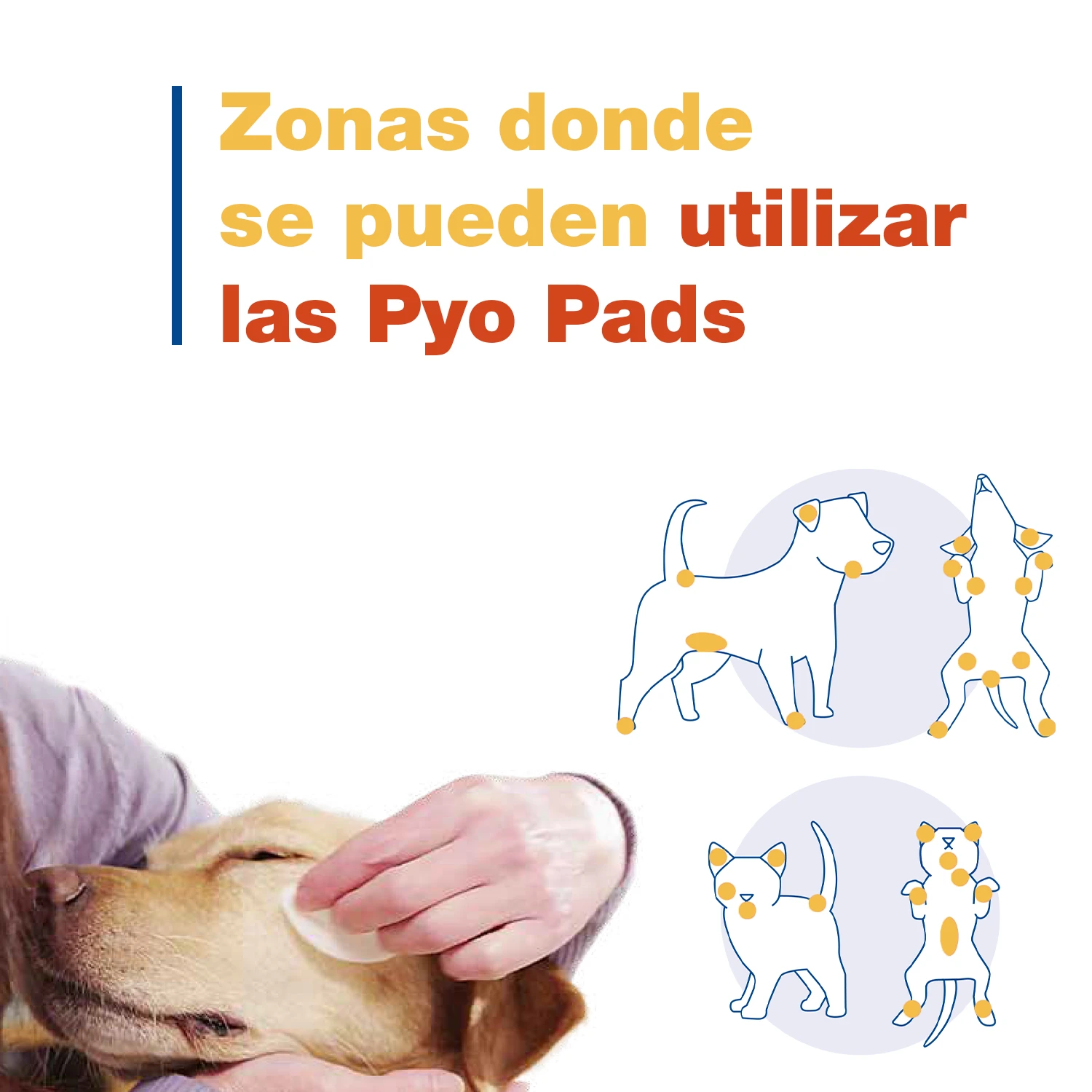 Douxo Pyo Pads discos de algodón para perros y gatos Douxo Pyo Pads Discos De Algodón Para Perros Y Gatos -Bravery Tienda 3411113021658 6 DOUXO S3 PYO PADS donde Aplicar 63bd37228bd28