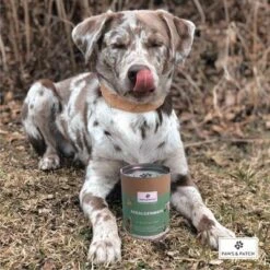 PAWS & PATCH Harina De Algas -Bravery Tienda 346896 paws patch seealgenmehl 250g hs 02 0