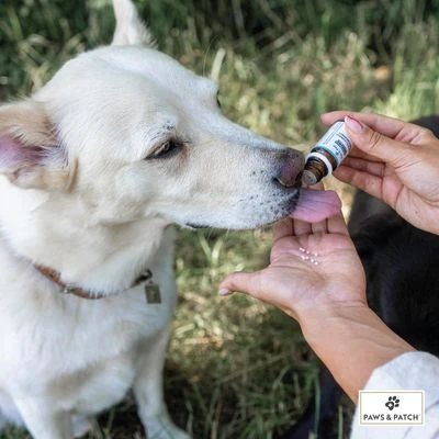 PAWS & PATCH complemento para la ansiedad PAWS & PATCH Complemento Para La Ansiedad -Bravery Tienda 347097 paws patch angst unsicherheit hs 02 8