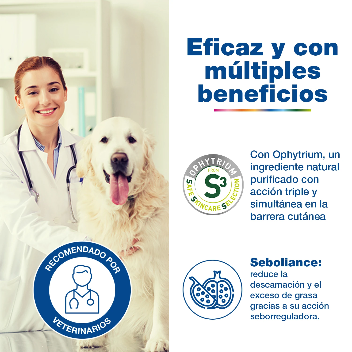 Douxo Seb Spot-on Pipetas para perros y gatos Douxo Seb Spot-on Pipetas Para Perros Y Gatos -Bravery Tienda 3660176502943 3 DOUXO S3 SEB Eficacia 63bd38ea6fe16