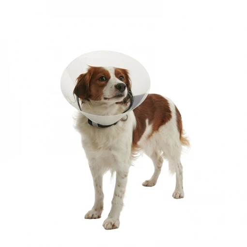 Collar Isabelino Ferribiella Collar Isabelino -Bravery Tienda 429635 colarisabelino 2