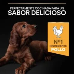 PURINA PRO PLAN Large Athletic Puppy Healthy Start 9 PURINA PRO PLAN Large Athletic Puppy Healthy Start -Bravery Tienda 44142743 es es 221230 1 3
