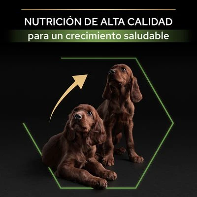 PURINA PRO PLAN Large Athletic Puppy Healthy Start PURINA PRO PLAN Large Athletic Puppy Healthy Start -Bravery Tienda 44142743 es es 221230 1 3 5