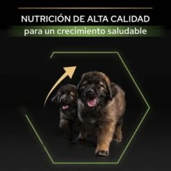 PURINA PRO PLAN Large Robust Puppy Healthy Start -Bravery Tienda 44142748 es es 221230 1 1 7