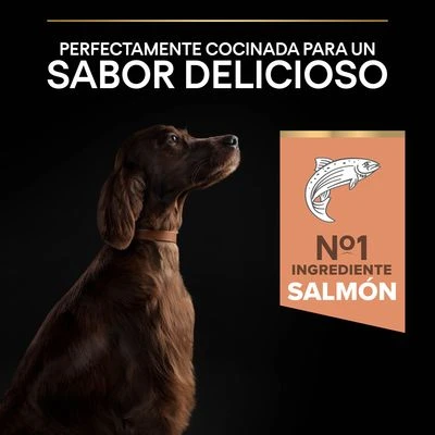 Purina Pro Plan Large Athletic Adult Sensitive Skin salmón Purina Pro Plan Large Athletic Adult Sensitive Skin Salmón -Bravery Tienda 44152227 es es 221230 1 2