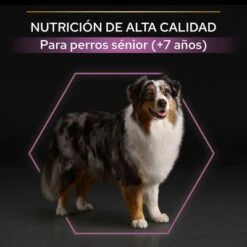PURINA PRO PLAN Medium & Large Adult 7+ Age Defence -Bravery Tienda 44152668 es es 221230 1 3 5