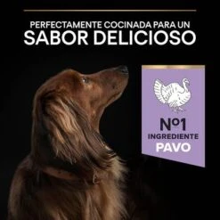 PURINA PRO PLAN Small & Mini Adult Sensitive Digestion Sin Cereales -Bravery Tienda 44157647 es es 221230 1 5
