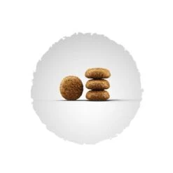 Josera Mini Miniwell Pienso Para Perros 3 Josera Mini Miniwell Pienso Para Perros -Bravery Tienda 48135 josera miniwell kroke 1