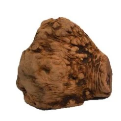 Chewies Raíz Para Masticar Tamaño L -Bravery Tienda 498909 pets nature kauwurzel chewies variante 2