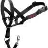Halti Bozal Para Perro Headcollar Negro