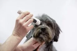 ARTERO Máquina Exacta 6 ARTERO Máquina Exacta -Bravery Tienda 51lj7d3erkl ac sl1000 6343e28460dcb