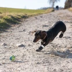 Zapatos Para Perros S & P Boots 5 Zapatos Para Perros S & P Boots -Bravery Tienda 52149 hundeschuhe xs fg 0967 9