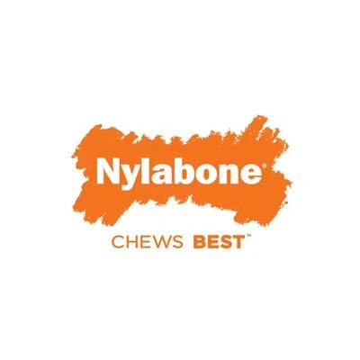 Hueso Nylabone Dura Chew Beef Jerky con aroma a carne Hueso Nylabone Dura Chew Beef Jerky Con Aroma A Carne -Bravery Tienda 58926 interpet nylabone puppybone hs 04 9 1