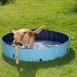 Piscina Para Perros Keep Cool -Bravery Tienda 60405 dog pool mit hund 01 5
