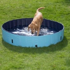 Piscina Para Perros Keep Cool -Bravery Tienda 60405 dog pool mit hund 02 0