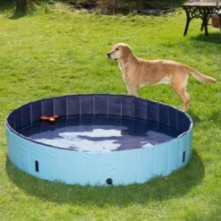 Piscina Para Perros Keep Cool -Bravery Tienda 60405 dog pool mit hund 04 8