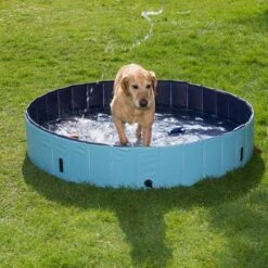Piscina Para Perros Keep Cool -Bravery Tienda 60405 dog pool mit hund 05 2