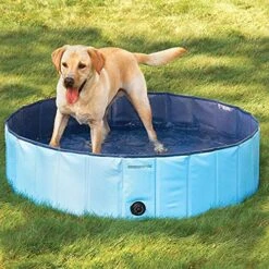 Trixie Piscina Para Perros Azul -Bravery Tienda 61Wwcy7Dx8L 62a751904e102