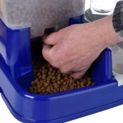 Dispensador De Agua Y Pienso -Bravery Tienda 64660 wasser und futterautomat 10 1