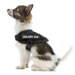 Julius K9 Arnés Julius-K9 IDC® Power Negro Para Perros -Bravery Tienda 65467 julius k9 idc powergeschirr schwarz 7