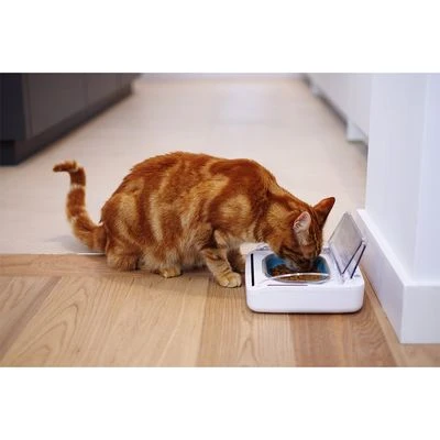 Comedero hermético SureFeed Comedero Hermético SureFeed -Bravery Tienda 69308 pla 5 luftdichte futt 5