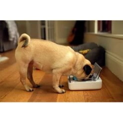 Comedero Hermético SureFeed 5 Comedero Hermético SureFeed -Bravery Tienda 69308 pla 6 luftdichte futt 3