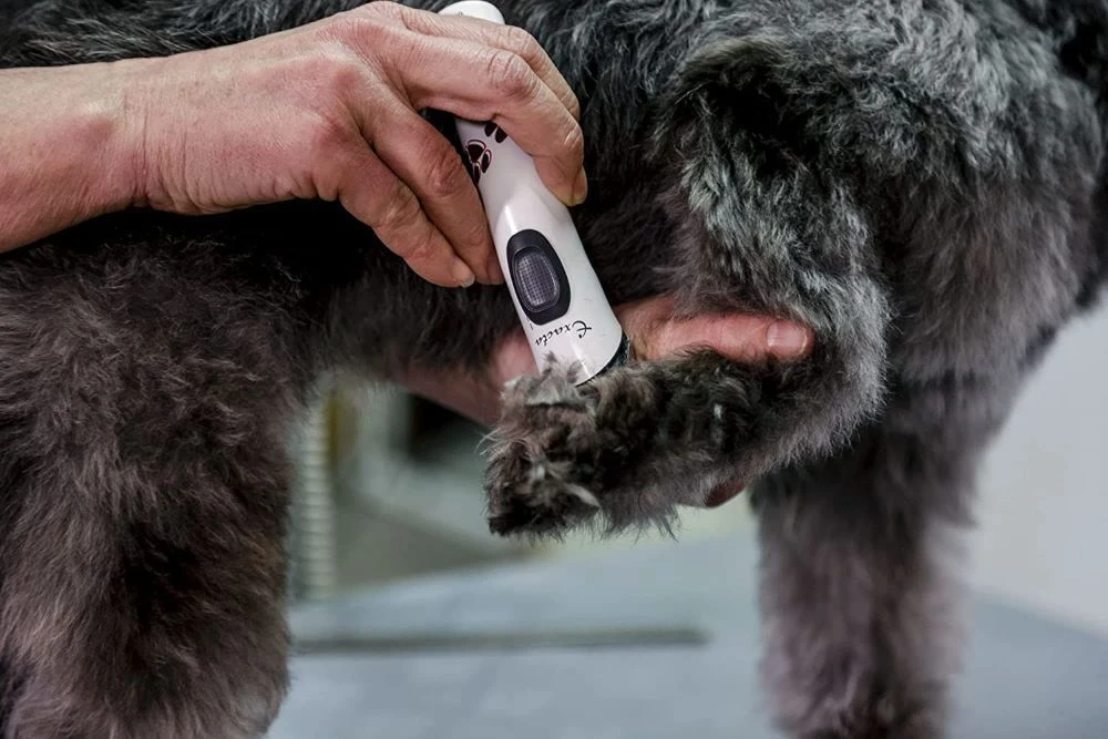 Máquina Exacta ARTERO Máquina Exacta -Bravery Tienda 71nduicb86s ac sl1500 6343e2858140f