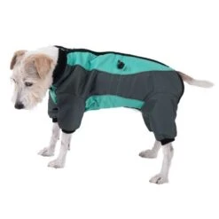Abrigo Largo Overall II Para Perros 11 Abrigo Largo Overall II Para Perros -Bravery Tienda 73483 hundeoverall mint fg 1000px 2906 1