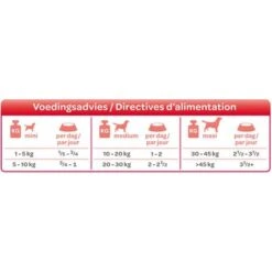 Smølke Fresh Steamed Mix Comida Húmeda Para Perros -Bravery Tienda 74955 smolke gestoomd lam voedingsadvies 9