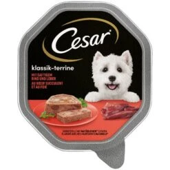 Cesar En Tarrinas 56 X 150 G 3 Cesar En Tarrinas 56 X 150 G -Bravery Tienda 75293 pla mars cesar klassiker rind leber hs 01 1