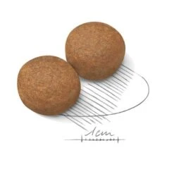 Royal Canin Maxi Adult -Bravery Tienda 80729 royalcanin maxiadult 15kg krokette hs 02 0