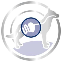 Royal Canin Maxi Adult -Bravery Tienda 80729 royalcanin maxiadult 15kg picto hs 03 5