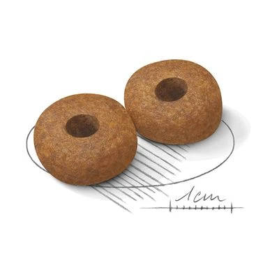 Royal Canin Medium Ageing 10+ Royal Canin Medium Ageing 10+ -Bravery Tienda 80734 royalcanin mediumageing 10plus 15kg croc hs 02 5