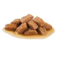 Royal Canin Medium Ageing 10 + En Salsa Para Perros -Bravery Tienda 82974 royalcanin medium ageing 1