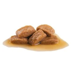 Royal Canin Maxi Adult En Salsa Para Perros -Bravery Tienda 82975 royalcanin maxi adult 2