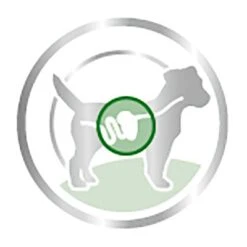 Royal Canin Mini Adult En Salsa Para Perros -Bravery Tienda 83013 royalcanin mini adult picto 9